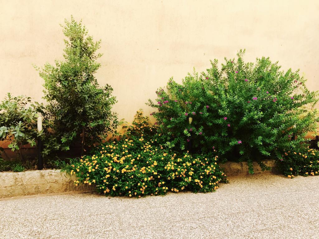 Sant' Andrea Apartamento